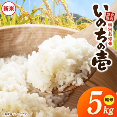 ふるさと納税 小牧市 [R8年産新米 先行受付]特別栽培米「いのちの壱」(5kg)<農家直送> [208K01]