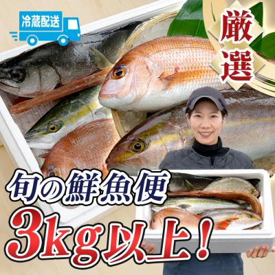 ふるさと納税 大月町 鮮魚 3kg〜 鮮魚ボックス 詰め合わせ 刺身 刺し身 さしみ 鮮度抜群 産地直送 高知県産
