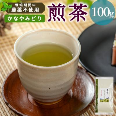 ふるさと納税 東白川村 栽培期間中 農薬不使用! 煎茶 かなやみどり 100g 常磐園 日本茶 緑茶 煎茶