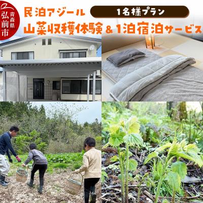 ふるさと納税 弘前市 宿泊 民泊アジール 山菜収穫体験&amp;1泊宿泊サービス 1名様プラン|24_asy-020101