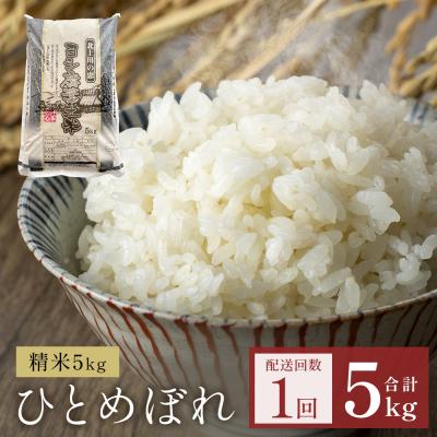 ふるさと納税 石巻市 米 令和7年産 ひとめぼれ 精米 5kg 単品 こめ コメ お米 ご飯 白米 防災減災