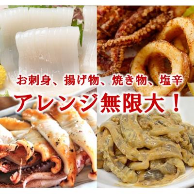 ふるさと納税 普代村 三陸水産 冷凍スルメイカ 約1kg (5〜6杯程度) |  | 02