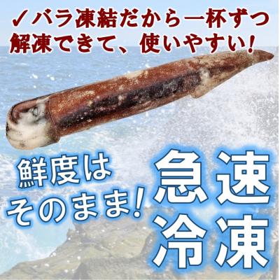 ふるさと納税 普代村 三陸水産 冷凍スルメイカ 約2kg (1kg×2袋) いか |  | 01
