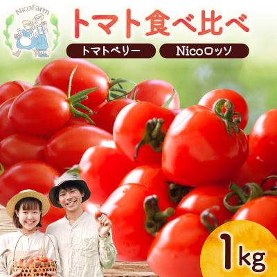 ふるさと納税 余市町 [先行受付7月]ミニトマト2種 各500g トマトベリー &amp; Nicoロッソ