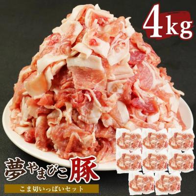 ふるさと納税 幸田町 「夢やまびこ豚」こま切いっぱいセット 4.0kg | 豚肉 肉 お肉 小間切れ こま切れ 小分け