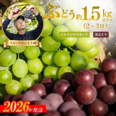 ふるさと納税 福島市 ぶどうセット約1.5kg(2〜3房) シャインマスカット&amp;黒葡萄(巨峰.ピオ-ネ)No.3309