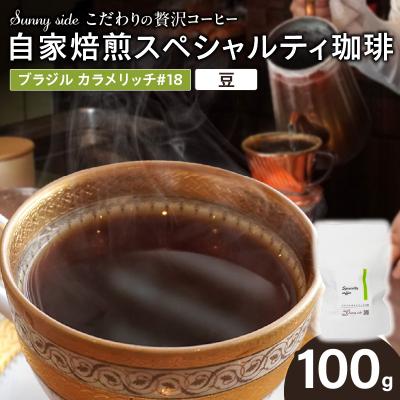 ふるさと納税 小牧市 自家焙煎スペシャルティ珈琲 ブラジル カラメリッチ#18(100g/豆のまま)[137S15-01]
