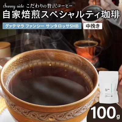 ふるさと納税 小牧市 スペシャルティ珈琲 グァテマラ ファンシー サンタロッサSHB 中挽き100g[137S17-02]