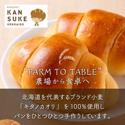 ふるさと納税 岩見沢市 <定期便3回>【まずはお試し!】キタノカオリのフルコースお試しパンセット (計10個) 1セット