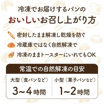 ふるさと納税 岩見沢市 <定期便3回>【まずはお試し!】キタノカオリのフルコースお試しパンセット (計10個) 1セット