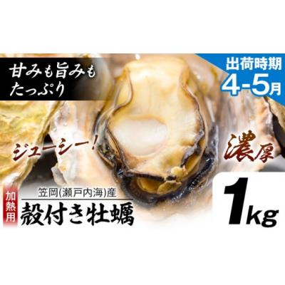 ふるさと納税 笠岡市 笠岡産殻付き牡蠣1kg(4月上旬-5月上旬頃出荷) K-44a-4j