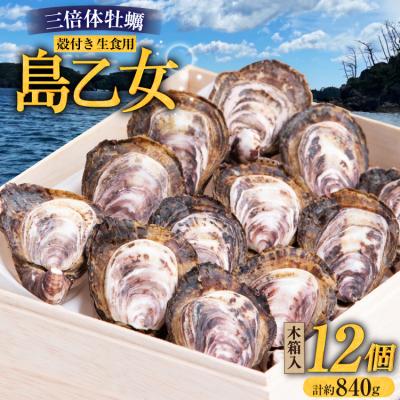 ふるさと納税 気仙沼市 殻付き牡蠣 生食用 三倍体牡蠣 島乙女 約840g 12個入 