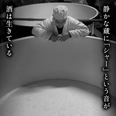 ふるさと納税 弘前市 日本酒 豊盃 純米吟醸 豊盃米 720ml×1本|24_mkt-040101b |  | 03