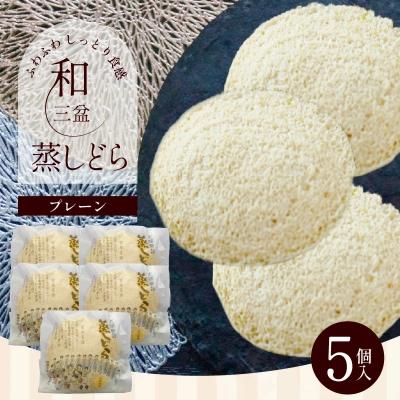 ふるさと納税 碧南市 [蒸しどら プレーン 5個入 ]和三盆 どら焼き 餡 ふわふわ