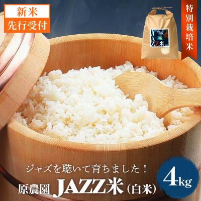 ふるさと納税 玖珠町 [令和8年産米先行受付]原農園 JAZZ米 白米 4kg ひのひかり 米 お米