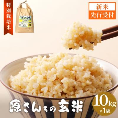 ふるさと納税 玖珠町 [令和8年産米先行受付]原さんちのお米 玄米 10kg ひのひかり 米 お米 こめ コメ
