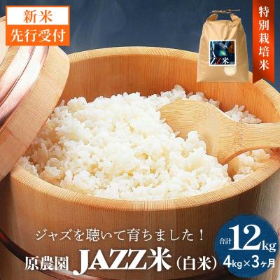 ふるさと納税 玖珠町 [令和8年産米先行受付]原農園 JAZZ米 白米 4kg ひとめぼれ 3回定期便 米 お米