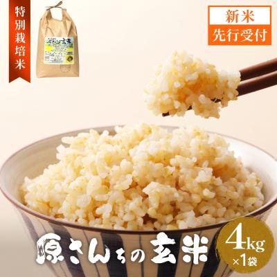 ふるさと納税 玖珠町 [令和8年産米先行受付]原さんちのお米 玄米 4kg にこまる 米 お米 こめ コメ ご飯