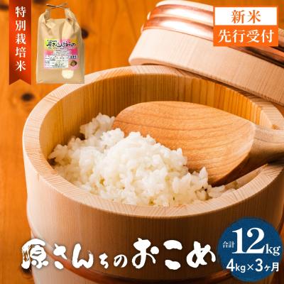 ふるさと納税 玖珠町 [令和8年産米先行受付]原さんちのお米 白米 4kg にこまる 3回定期便 米 お米 こめ