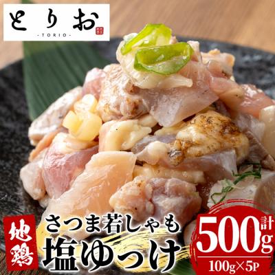 ふるさと納税 いちき串木野市 鹿児島県産!味付き 鳥刺し 塩ゆっけ 500g(100g×5) 冷凍 小分け 国産 地鶏