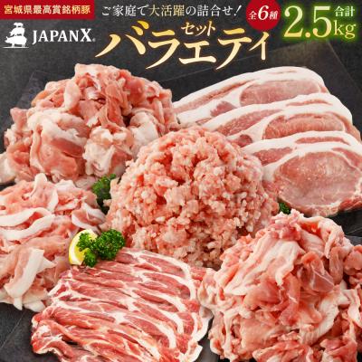 ふるさと納税 蔵王町 JAPAN X バラエティセット 第2弾 6種 2.5kg[04301-0888]