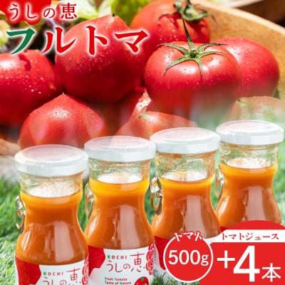 ふるさと納税 香南市 野菜ソムリエが育てた うしの惠フルーツトマト500g+トマトジュース4本 mj-0026