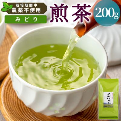 ふるさと納税 東白川村 栽培期間中 農薬不使用! 煎茶 みどり 200g 常磐園 日本茶 緑茶 煎茶 | 
