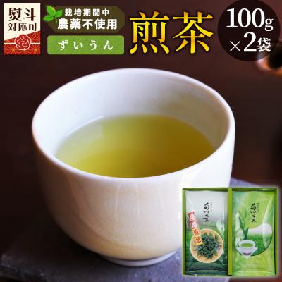 ふるさと納税 東白川村 栽培期間中 農薬不使用! 煎茶 ギフト NO.30 (ずいうん100g×2袋) 常磐園 日本茶