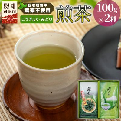 ふるさと納税 東白川村 栽培期間中 農薬不使用! 煎茶 ギフト NO.33 (こうぎょく みどり各100g) 常磐園 日本茶