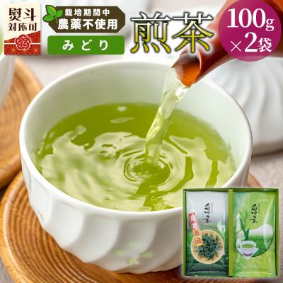ふるさと納税 東白川村 栽培期間中 農薬不使用! 煎茶 ギフト NO.34 (みどり100g×2袋) 常磐園 日本茶