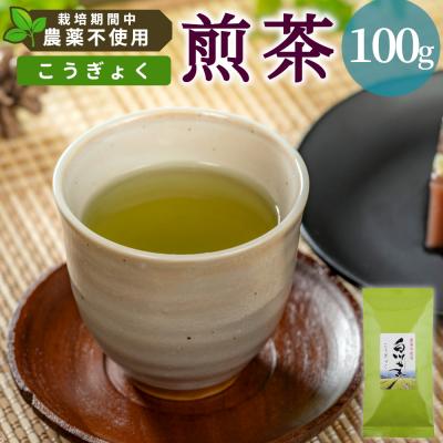 ふるさと納税 東白川村 栽培期間中 農薬不使用! 煎茶 こうぎょく 100g 常磐園 日本茶 緑茶 煎茶