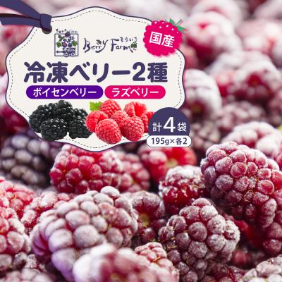 ふるさと納税 東根市 冷凍ベリー2種セット そらいろ Berry Farm提供 山形県 東根市 hi094-002