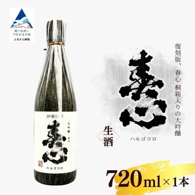 ふるさと納税 小松市 春心 大吟醸 復刻 720ml(桐箱入り) 日本酒 お酒 国産米 父の日 ギフト プレゼント