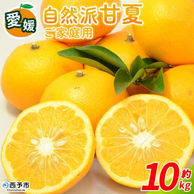 ふるさと納税 西予市 <自然派甘夏 ご家庭用 約10kg> 明浜 みかん 井上農園