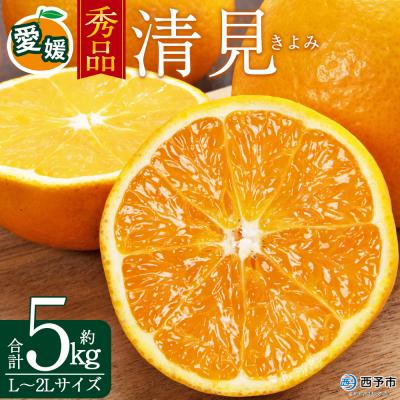 ふるさと納税 西予市 <秀品 清見 (L〜2Lサイズ) 約5kg>愛媛 蜜柑 ミカン丸二青果
