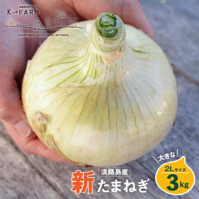 ふるさと納税 淡路市 [新たまねぎ]淡路島たまねぎ 大きな2Lサイズ 3kg