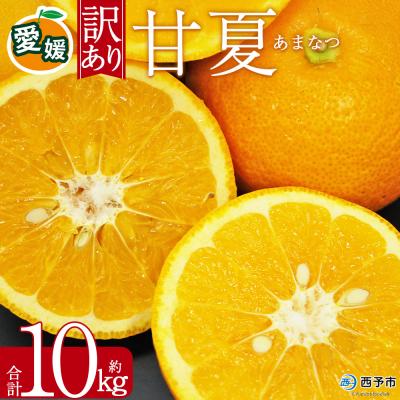 ふるさと納税 西予市 <訳あり 甘夏 (サイズ混合) 約10kg>あまなつ 愛媛 程よい酸味 丸二青果