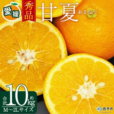 ふるさと納税 西予市 <秀品 甘夏 (M〜2Lサイズ) 約10kg> あまなつ 愛媛 丸二青果 えひめ みかん
