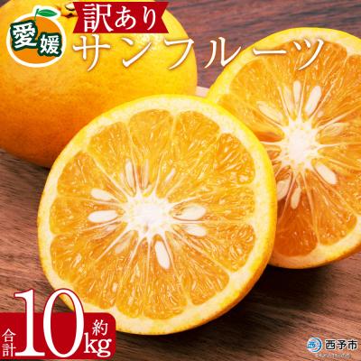 ふるさと納税 西予市 <訳あり サンフルーツ (サイズ混合) 約10kg>愛媛 蜜柑 ミカン丸二青果