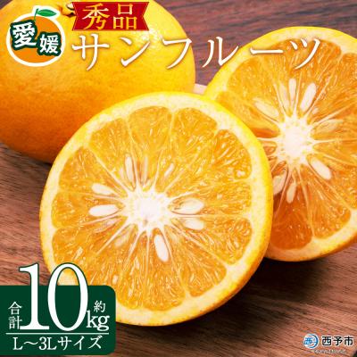 ふるさと納税 西予市 <秀品 サンフルーツ (L〜3Lサイズ) 約10kg>果汁 愛媛 丸二青果 愛媛