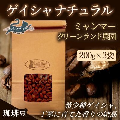 ふるさと納税 福島市 珈琲豆 ゲイシャナチュラル ミャンマーグリーンランド農園200g×3袋No.3273