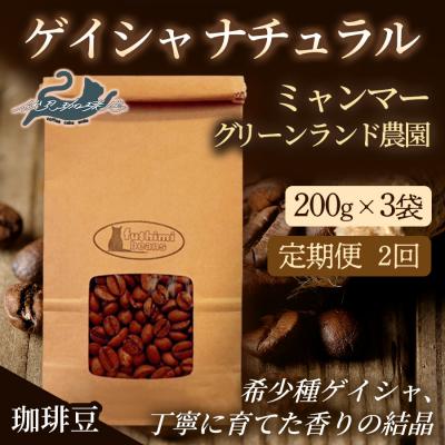ふるさと納税 福島市 [2回定期便]珈琲豆 ゲイシャナチュラル ミャンマー200g×3袋No.3274