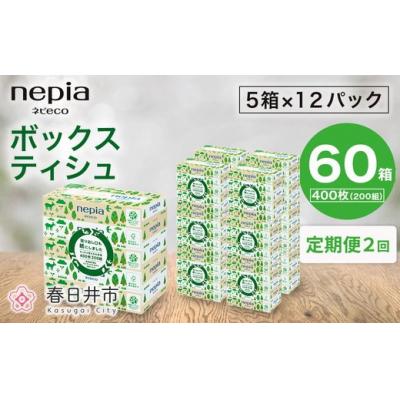 ふるさと納税 春日井市 [定期便]2回発送(3か月おきに)ネピア ネピecoティシュ200組 5箱×12パック