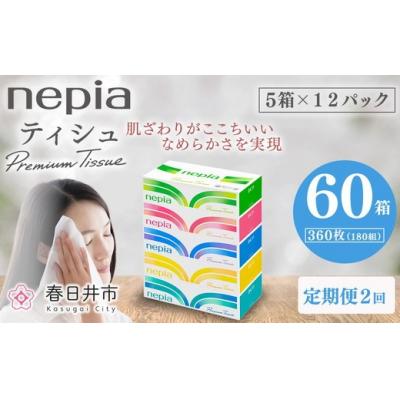 ふるさと納税 春日井市 [定期便]2回発送 (3か月おきに) ネピアティシュ 5箱×12パック