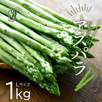 ふるさと納税 庄内町 [R8.3月より順次発送]庄内町産 アスパラガス 1kg Lサイズ(入金期限:2026.9.30)