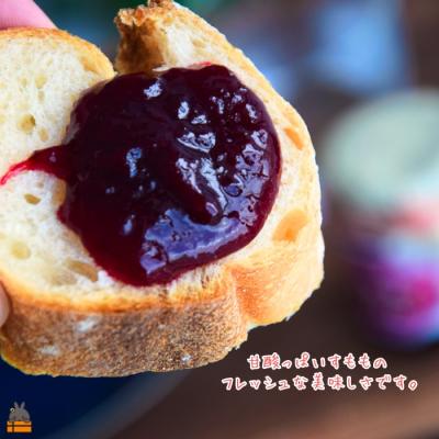 ふるさと納税 徳之島町 徳之島産すもも使用!低糖度の徳之島すもも