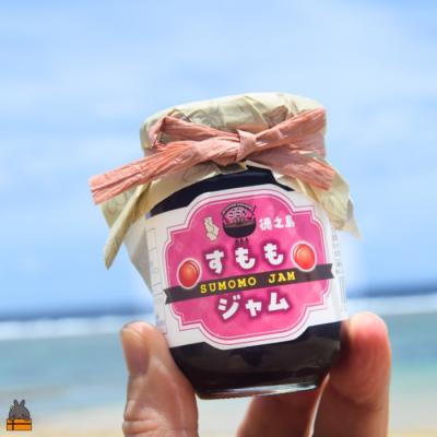 ふるさと納税 徳之島町 徳之島産すもも使用!低糖度の徳之島すもも
