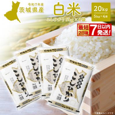 ふるさと納税 境町 こしひかり 20kg (5kg×4袋) 最短2日後発送[令和7年産/白米]茨城県産 米 小分け