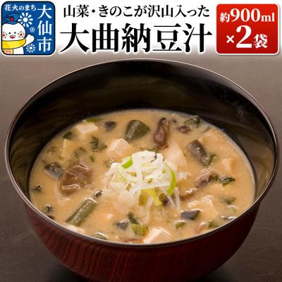 ふるさと納税 大仙市 山菜・きのこが沢山入った大曲納豆汁 約900ml(汁椀約5杯分)×2袋|22_dkb-210201