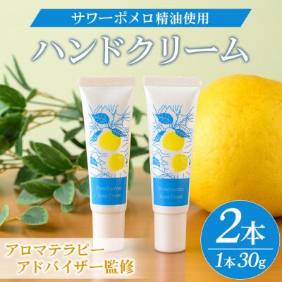 ふるさと納税 いちき串木野市 サワーポメロ ハンドクリーム 30g × 2本 柑橘 天然香料 低刺激